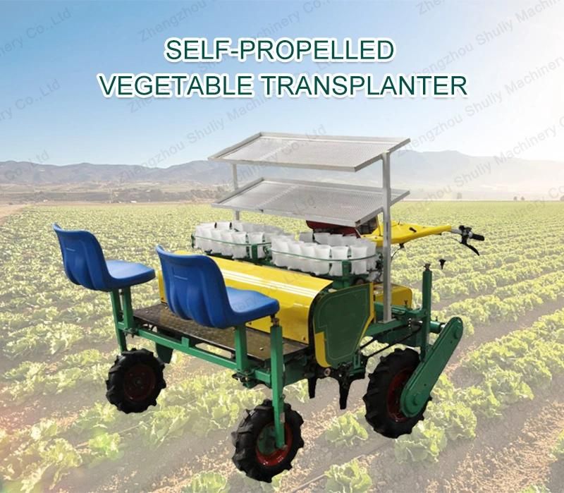 Vegetable Transplanting Machinery Sweet Potato Tomato Transplanter Machine for Sale
