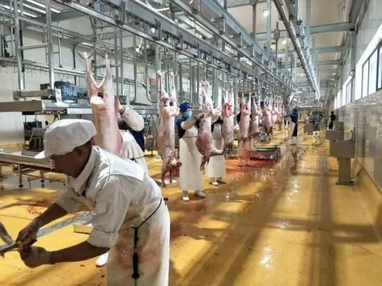 Halal/Kosher 100-200/H Goat Skin Removed Machine Meat Processing Machines