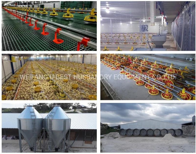 Automatic Poultry Farm Feeder and Drinker Chicken Feeding Equipment