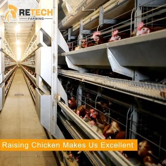 Automatic poultry farm layer battery cages for 20000 chickens