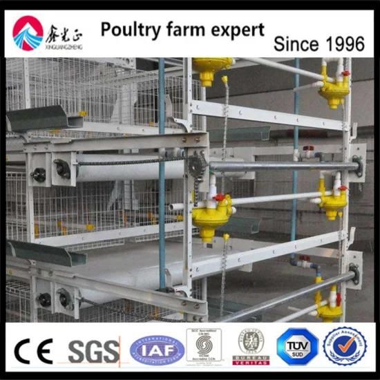 Best Sell Poultry Farm Equipment Automatic Chicken Layer Cage for Sale