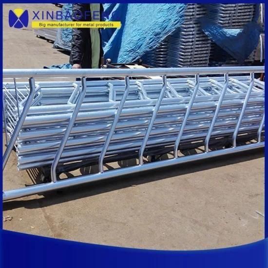 Galvanized Steel Pipe Agricultural Machinery Livestock Equipment Cow Stall