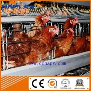 Chicken Farm with Automatic Equipment and Control Shed