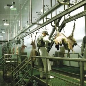Carcass Chilling Room During Installation in Sheep Slaughterhouse