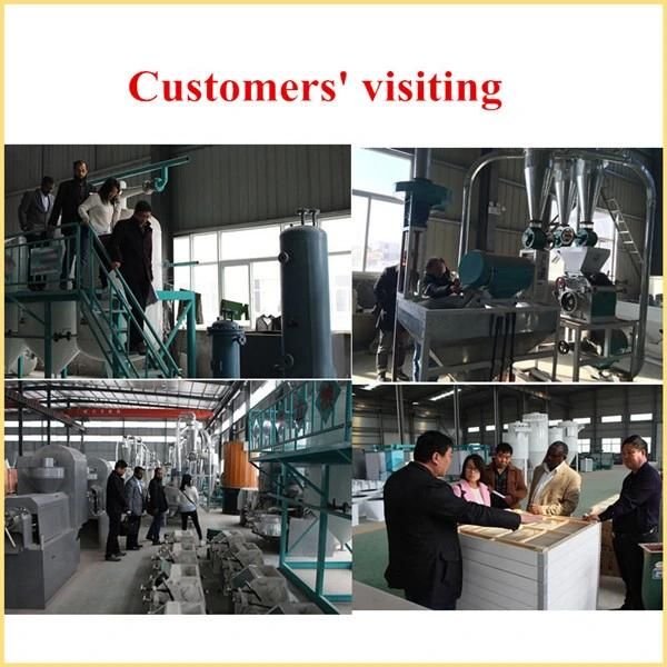 Chicken Farm Processing Animal Feed Pellet Machine with Ce
