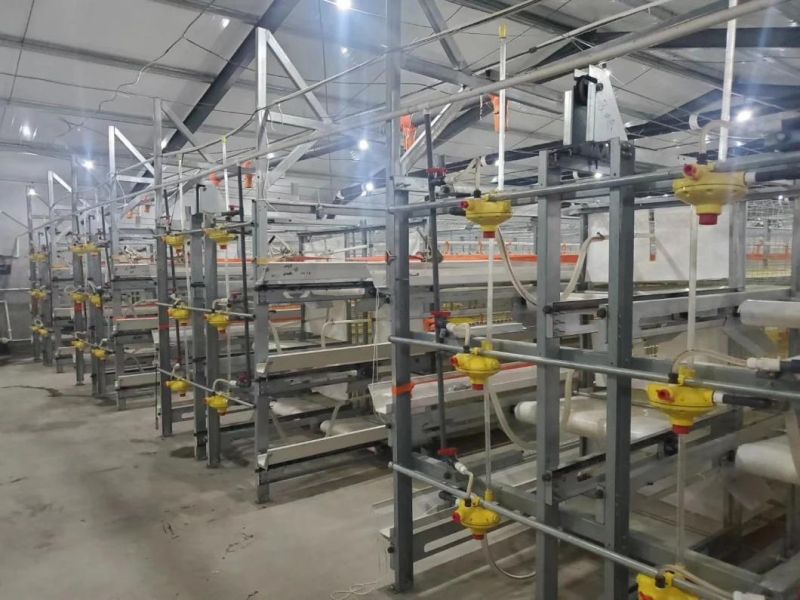 Factory Price Automatic Galvanized Farm Equipment Livestock Poultry Bird Battery Chicken Cages for Feeding Drinking for Chicken House/Broiler/Breeder/Layer