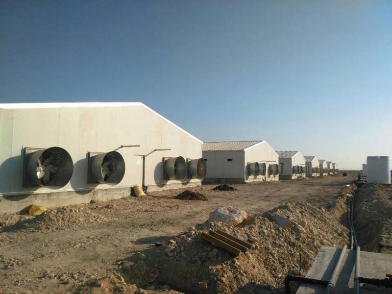 China Prefabricated Poultry House Layer/Broiler/Duck/Quail Farming Sealed House for Qatar