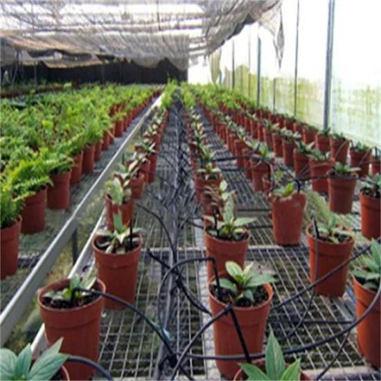 Greenhouse Drip Flower Water Saving Irrigation System