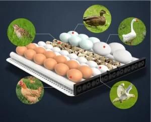 Chinese Factory Full Automatic Poultry Chicken Egg Incubator with LED Efficient Egg ...
