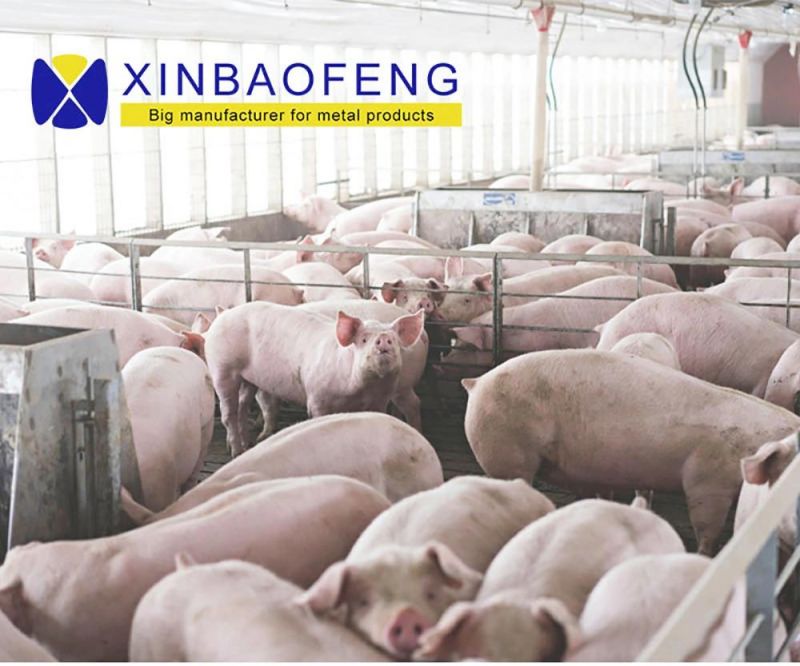 Intelligent Pig Farm Hot DIP Zinc Cage Breeding Sow Gestation Crate Stall