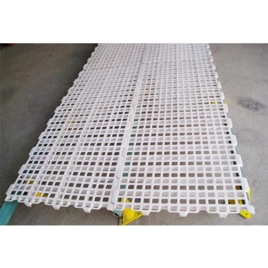 Chicken Plastic Leakage Dung Plate / Floor for Poultry Farm Equipment