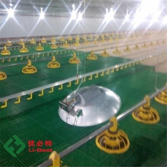 Top Sale Automatic Type Poultry Equipment Accessories for Broiler Chicken