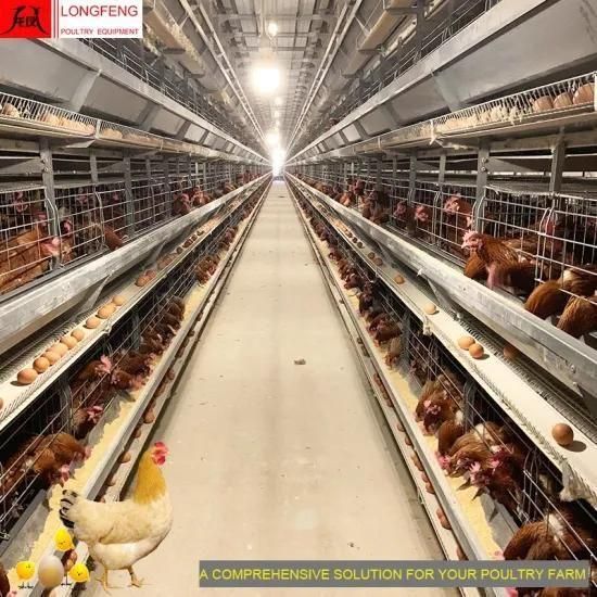 Longfeng Chicken Farm Project Poultry Farming Equipment Automatic Chicken Layer Cage