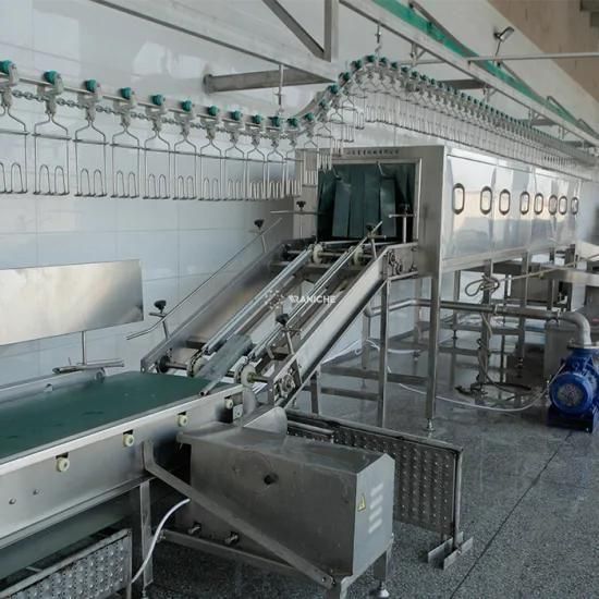 Factory Poultry Meat Processing Butcher Slaughterhouse Equipment Chicken Production ...
