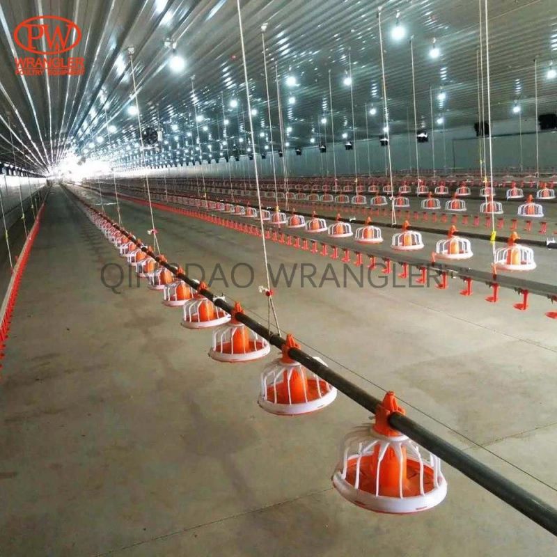 Poultry Feeder System for Chicken Broiler House