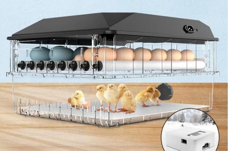 Cheap Price Hatching Eggs Chicken Duck Pigeon Quail Egg Hatchery Machine Automatic Egg Incubator