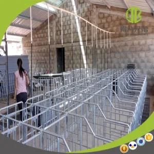 Wholesale Pig Farming Equipment Sow Gestation Crates Individual Sow Pen Factory for Sale