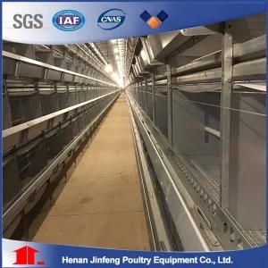 Hot Sell! Galvanizated Poultry Equipment with Low Price From China