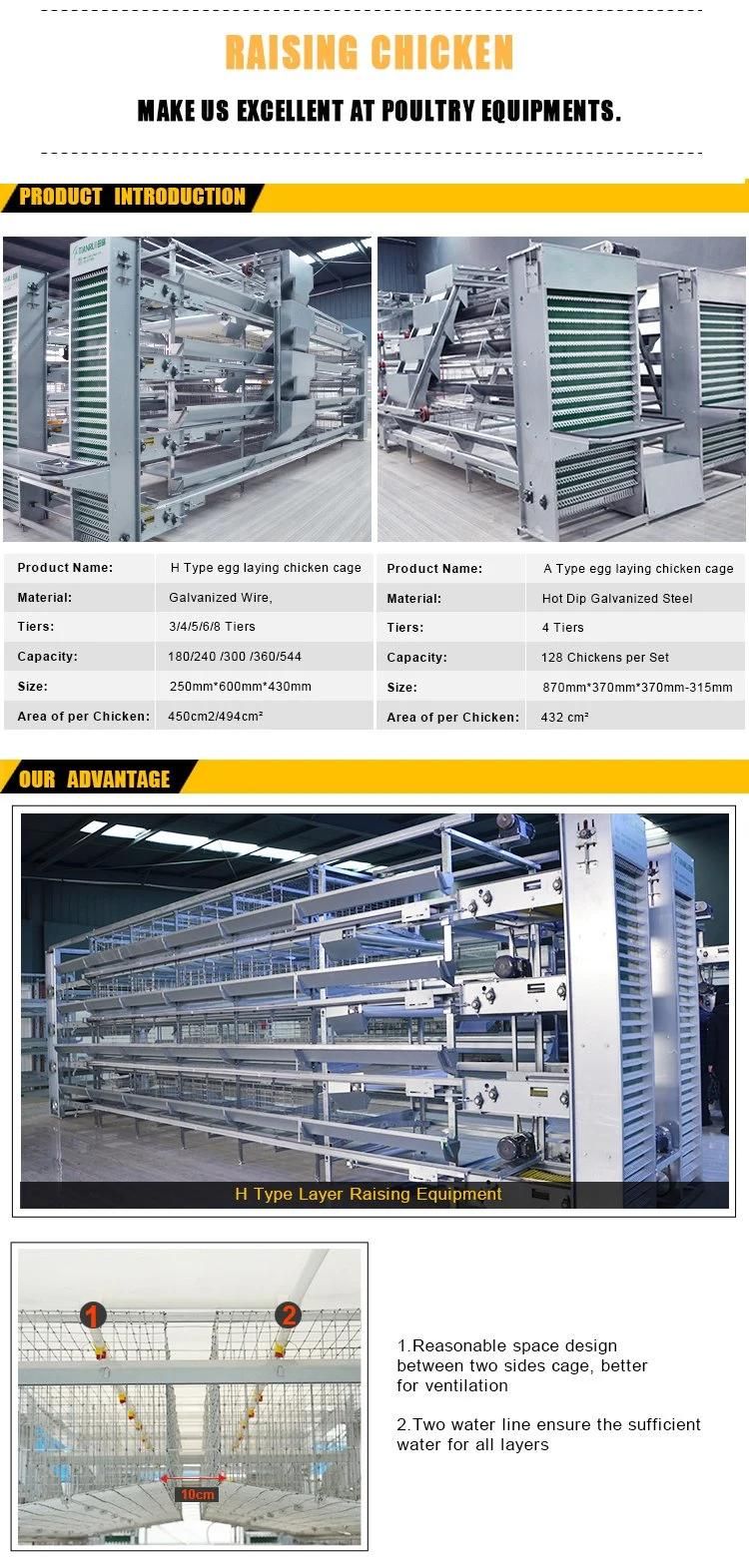 Automatic H Type Poultry Cage Layer Chicken Cages