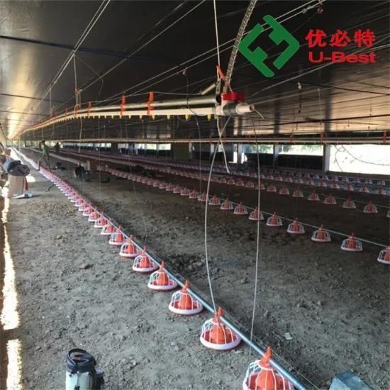 Chinese Supply Automatic Chicken Feeding System for Broiler Poultry Houses