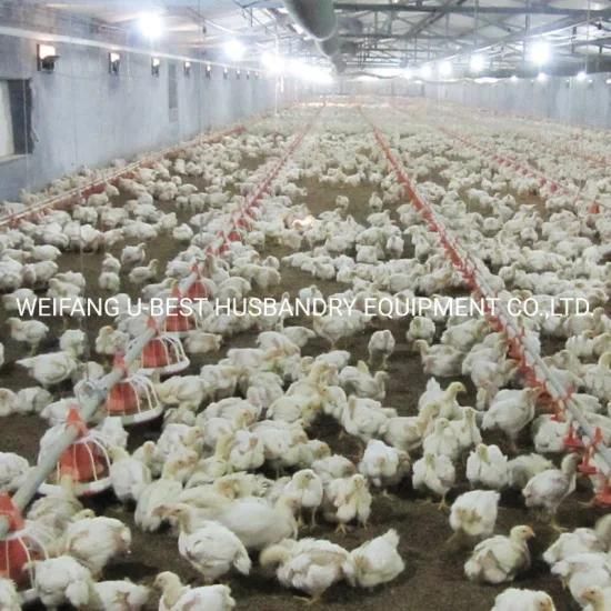 High Quality Full Set of Poultry House Chicken Farming Equipment for Broiler