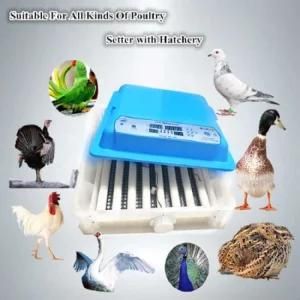 Fast Shipping Hhd Full Automatic Poultry Chicken Egg Incubator with LED Efficient Egg ...
