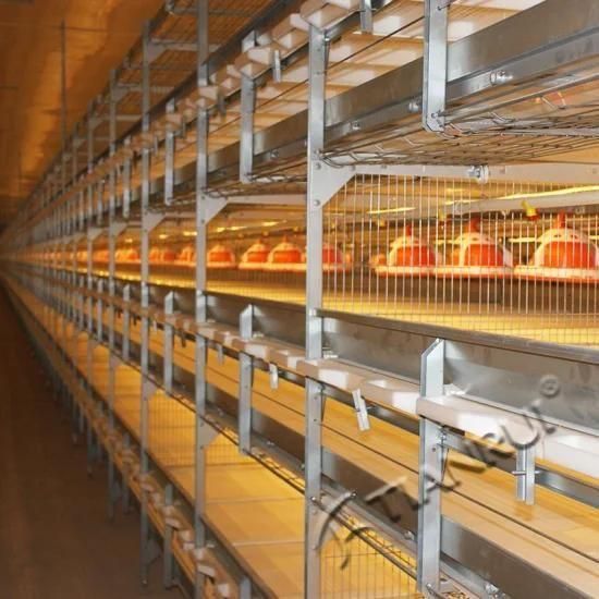 Modern Layer/Broiler Chicken Cage Poultry Farming Equipment For Sale