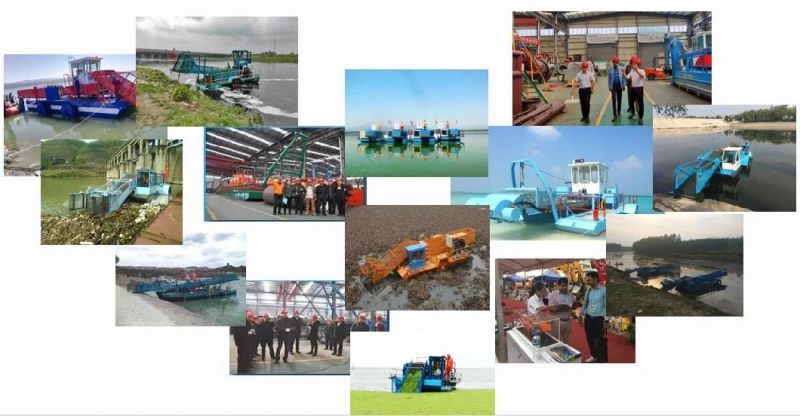 Automatic Aquatic Weed Reed Cutting Harvester Water Hyacinth Harvesting Machine Trash Skimmer Boat