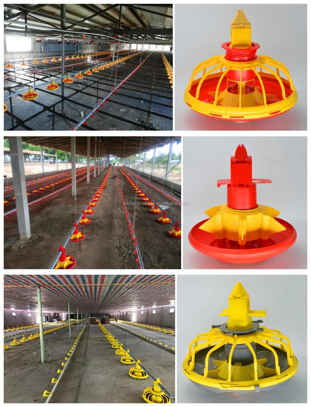 Automatic Poultry Farm Chicken Broiler Feeding System