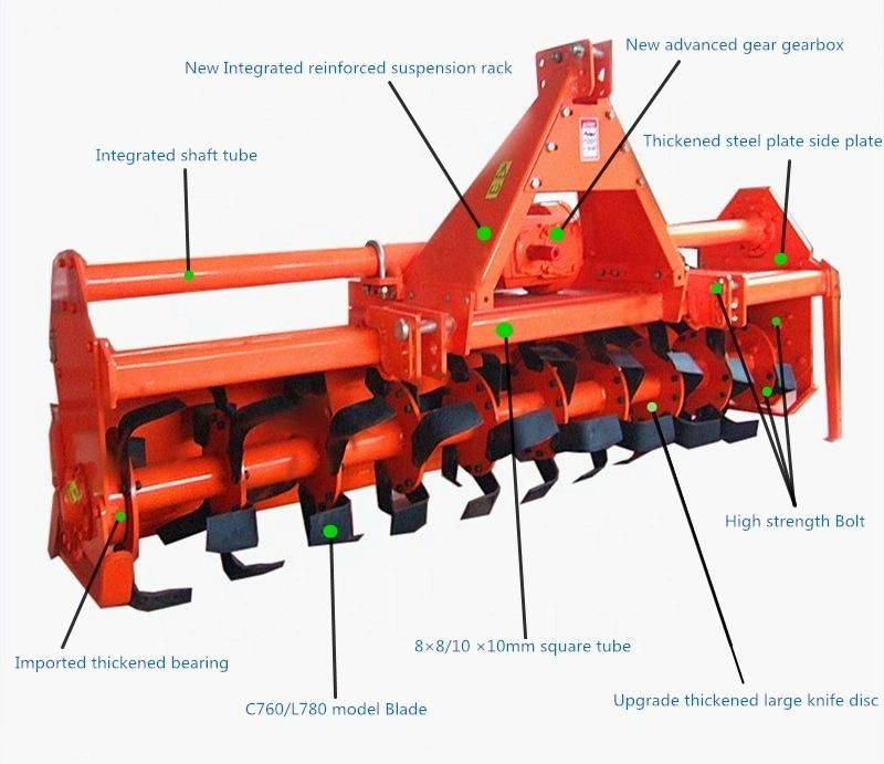 China Farm 1gqn Series Rotary Tiller for Agricultural Machine