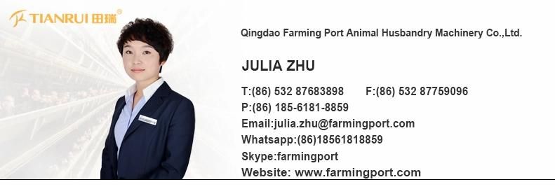 China factory supply high quality chicken cage system for chicken farm