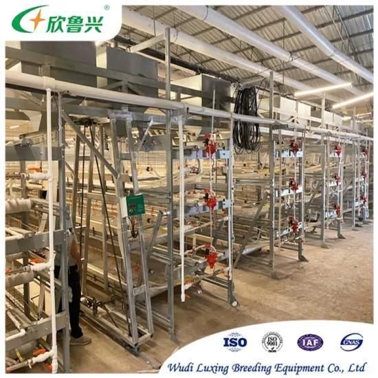 Chicken Cage Poultry Raising Equipment for Large Scale Poultry Farm