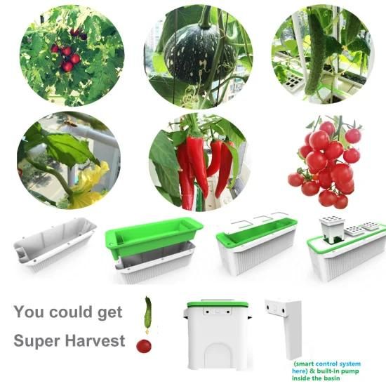 Smart Big 7L Hydroponic Agricultural Machinery