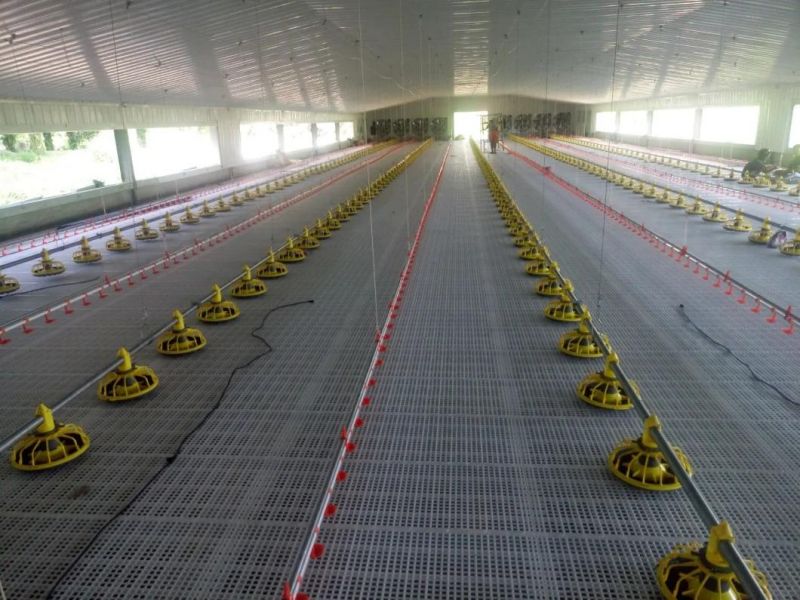 Automatic Duck Goose Feeding System Plastic Slat Floor Poultry Slat Floor