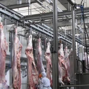 Hajj Bovine Slaughter Machine for Auto Halal Cow Butcher Abattoir