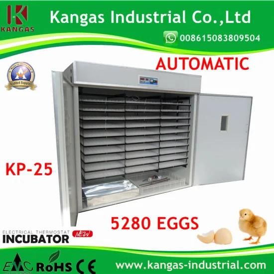 Advanced Microcomputer Automatic Incubator for 5000 Eggs