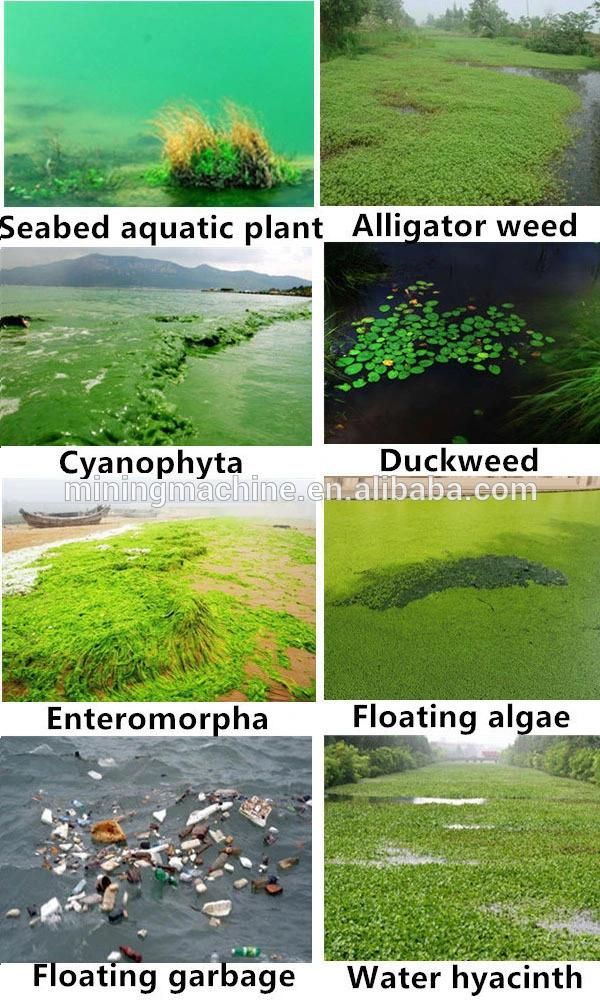 Good Efficiency of Water Weed Cutting Dredger
