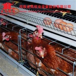 4 Tiers a Type Chicken Layer Cage Poultry Farm Equipment