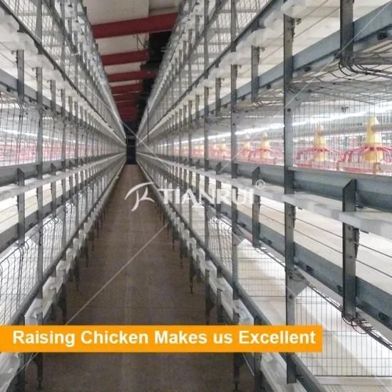 Popular Used Hot Dipped Galvanized Material Broilers Rearing Cage