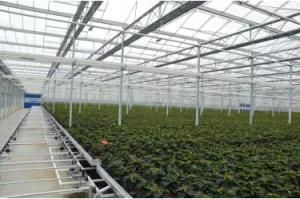 Skyplant Easily Move Greenhouse Ebb Flood Ebb for Vegetable Growing