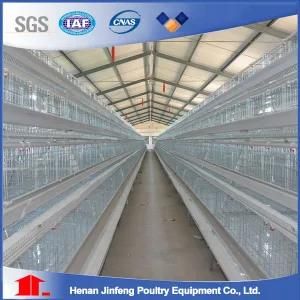 China Automatic Poultry Equipment Layer Cage 3 Tiers 120 Capacity
