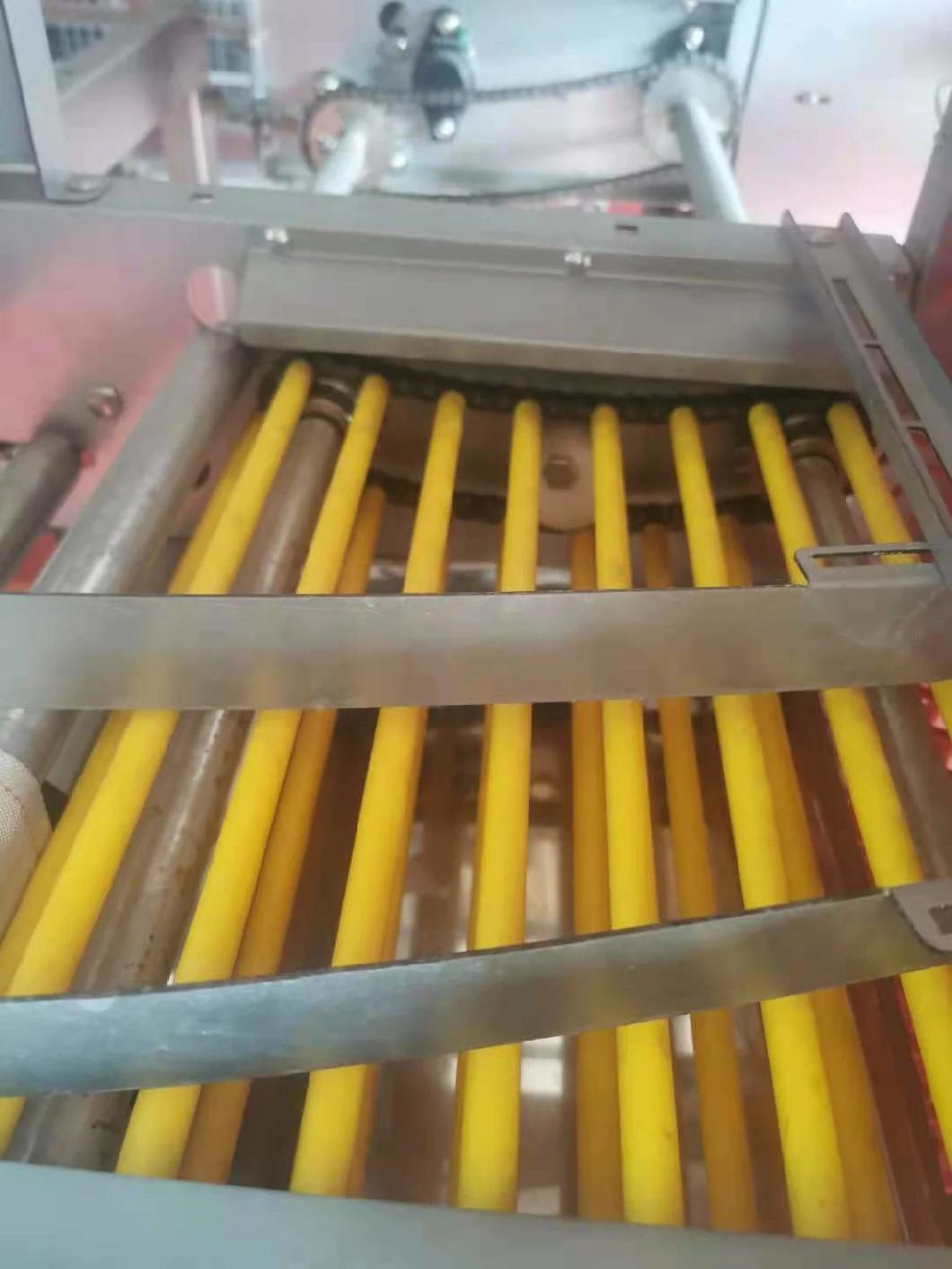Egg Collection system for Poultry Farm Equipent