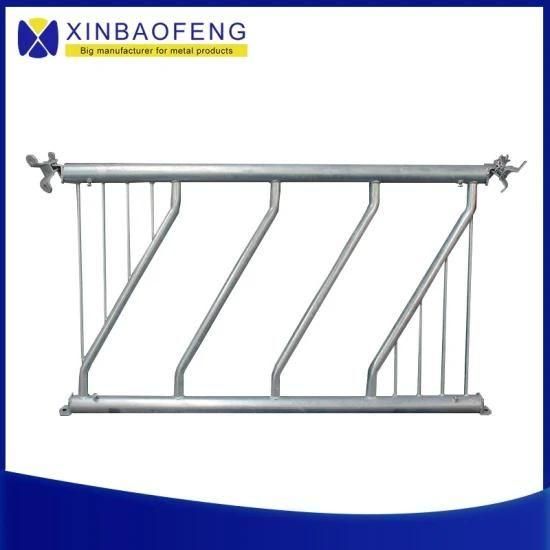 Farm Hot Galvanized Pipe Cow Stall / Cow Lying Bed
