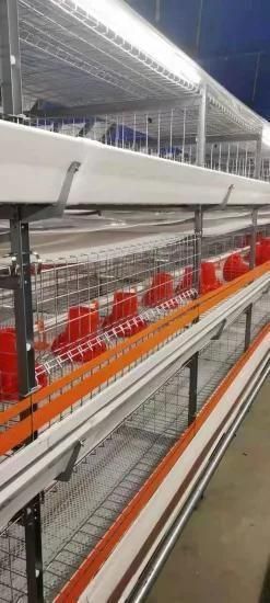 Battery Layer Chicken Cage for Poultry Farm