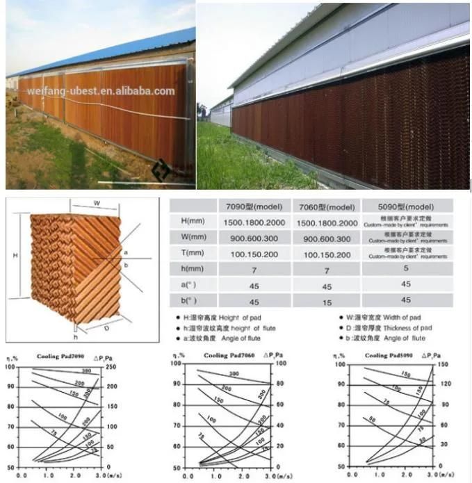 Low Factory Price Steel Structure Building Prefab Chicken House Poultry Farm