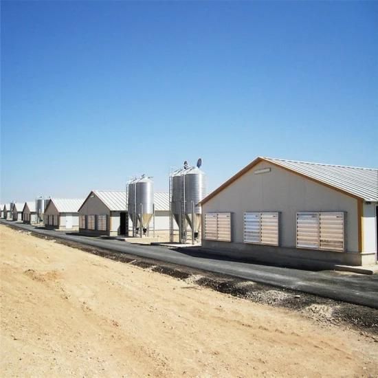 Long Span Prefab Full Automatic Chicken Coop Equipment