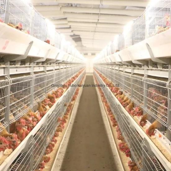 Battery Cages for Broiler/Chicken Layer/Egg Chicken