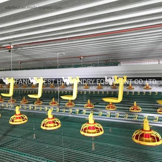 Steel Structure Poultry House Equipment Chicken Farm Drinker and Feeder System