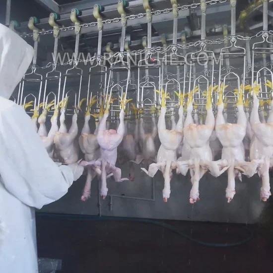 Automatic Slaughtering Processing for Poultry Chicken Slaughter Line Chicken ...