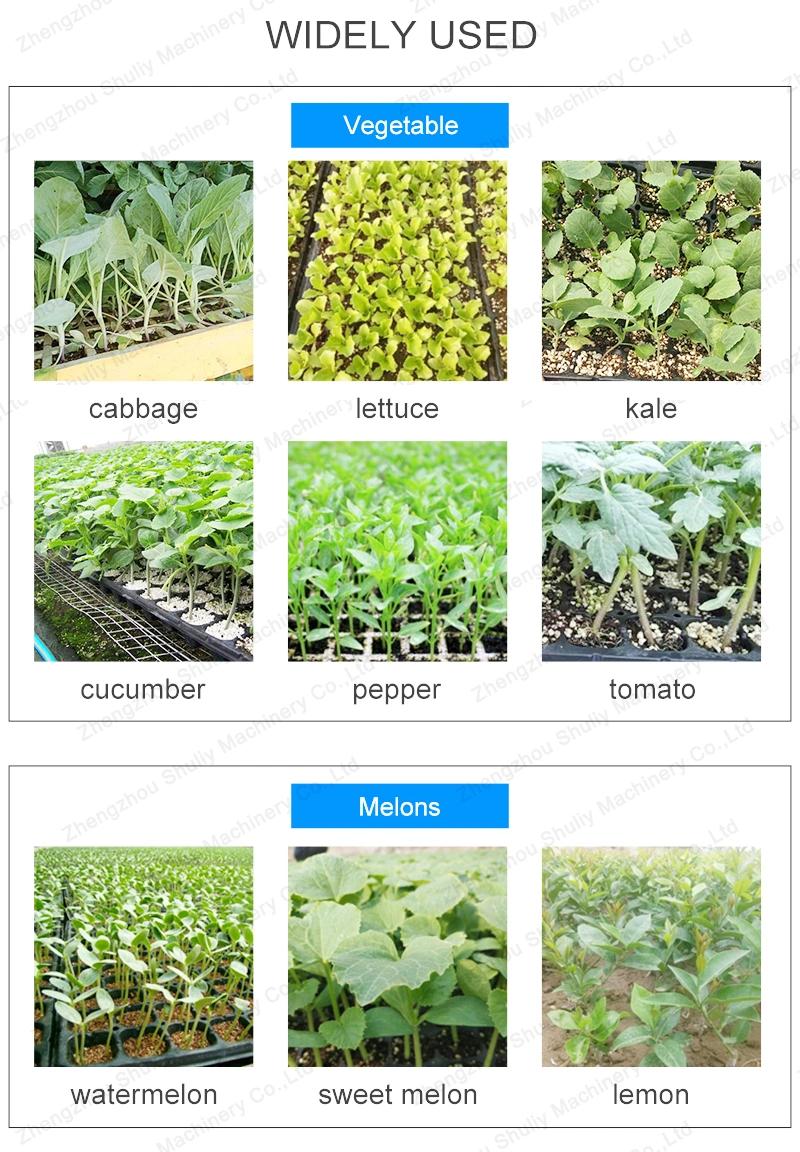 Hot Selling Seeders & Transplanters Vegetable Seedlings Transplanter
